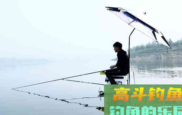 秋天正是钓鱼黄金季，此时你怎么爆护呢