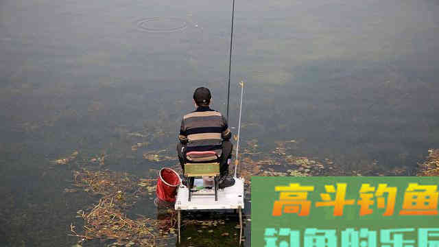 春季钓鱼水底水草多，试试这样钓，简单好用鱼获多，