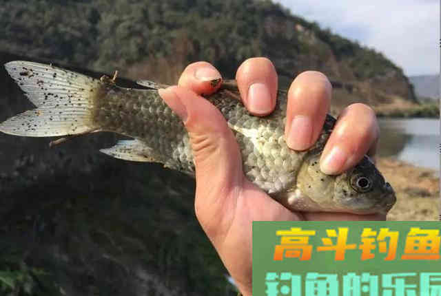 春季什么天气好钓鱼？了解天气和鱼情的关系