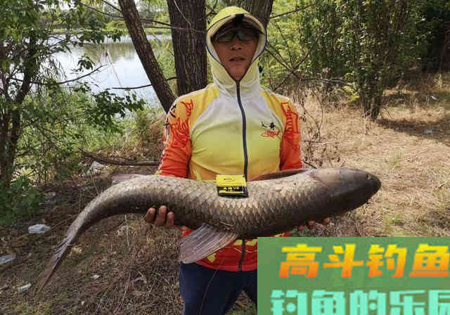 秋季降温钓鱼难？巧用水质4点变化，反让大鱼狂咬钩