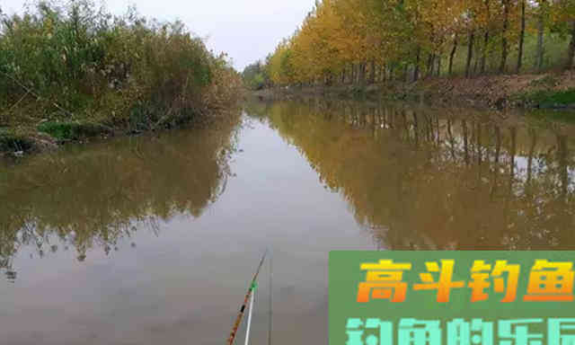冬天的鱼躲哪去了？冬季野钓还是要靠人找鱼