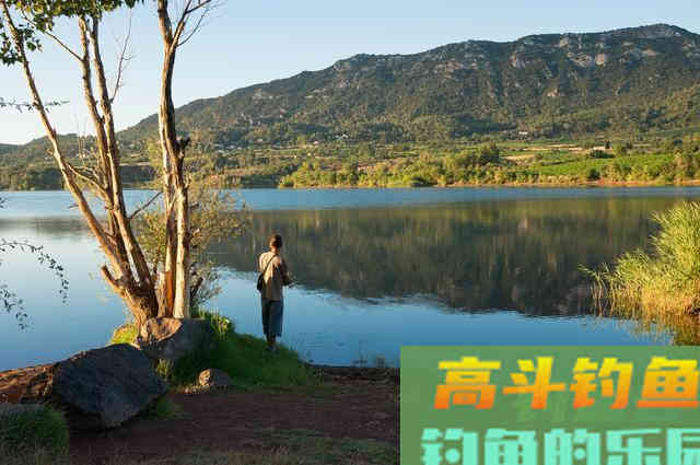 春季钓鱼这做好这五点，每次让你钓得总比别人多