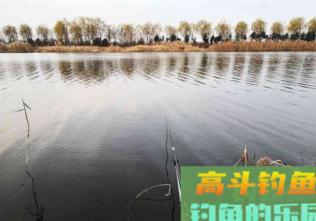 春季想要钓好鱼，掌握这几种钓法，爆护不是事