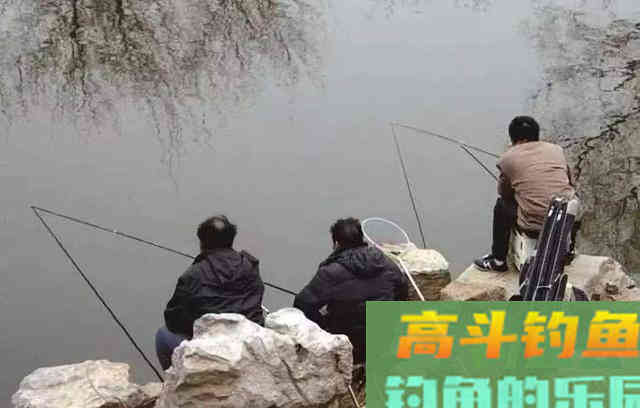 冬天找钓位三原则，符合就是鱼儿越冬之地