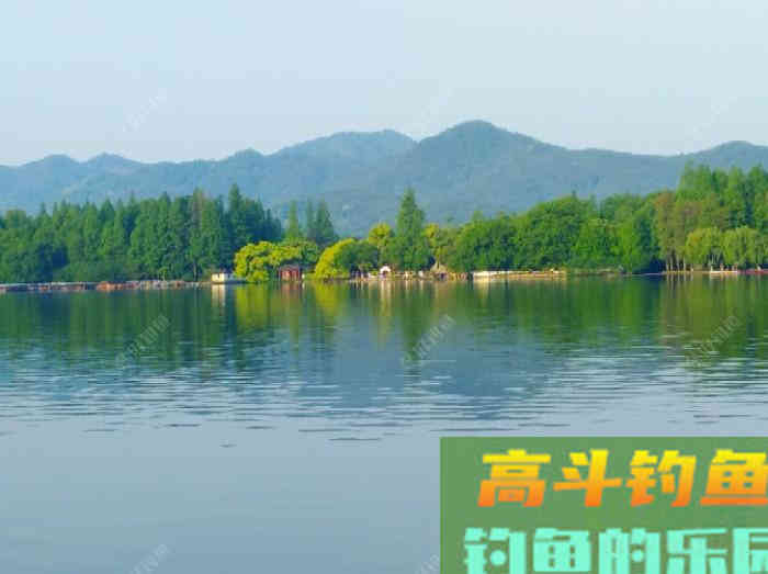 夏季钓鲫的7个概念，能让你在夏天更好的钓鱼，钓到大鱼