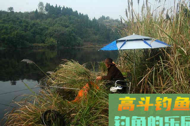 冬钓选钓位，就选这四个位置，天气越冷越聚鱼