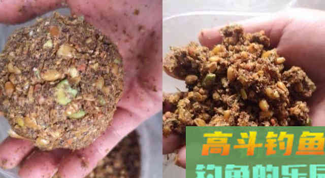 秋季野钓大鱼，钓友眼中的那些傻瓜，其实才是真聪明