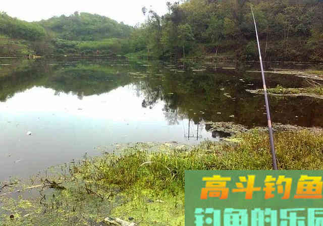 春季钓不好鱼，这些钓鱼技巧，只要照做爆护不难