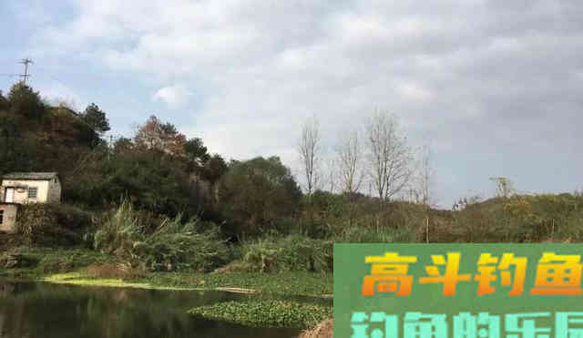 冬季钓鱼问得最多的问题，我给你们圈出了7个