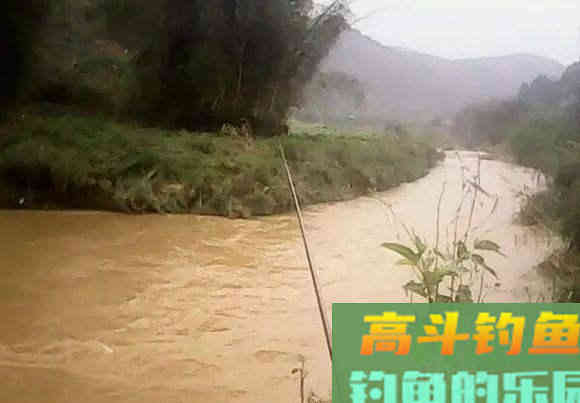 汛期已至，还不赶快趁着浑水钓鱼？注意这3点