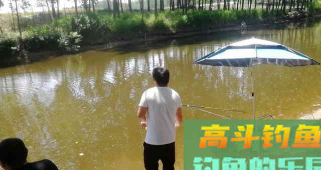 夏季钓鱼时，遇到这几种情况，果断采用离底钓