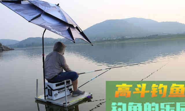 秋天正是钓鱼黄金季，此时你怎么爆护呢