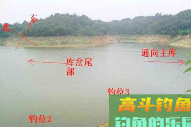 立秋后钓鱼，别人连杆我空军，问题出在哪