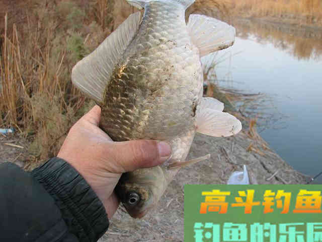 春季钓鱼两种温差详解，都可以钓到鱼，但选择截然不同