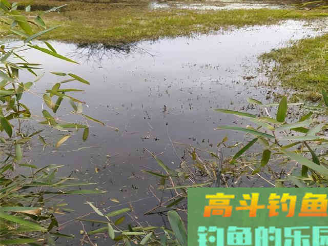春季作钓的两大细节，让你上鱼更多