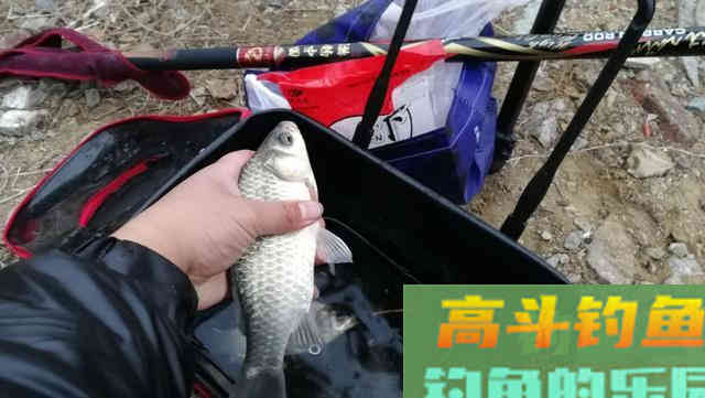 冬钓鲫鱼把握方法和时机，这四点要明确