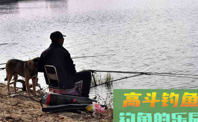 老钓友分享秋钓武昌鱼的三大技巧