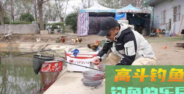冬季钓快鱼若能爆护，鱼饵基本都是它