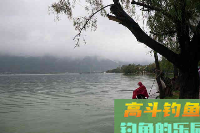 春季下雨钓鱼攻略，小鱼少大鱼多，靠岸觅食吃口狂