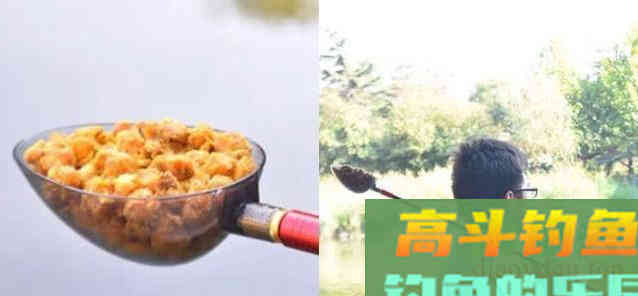 秋季野钓大鱼，钓友眼中的那些傻瓜，其实才是真聪明