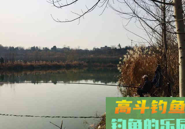 冬季居然是钓鲫鱼的黄金季节，应该钓深还是应该钓浅