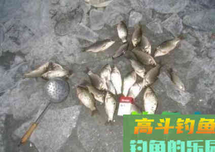 除了细小软，冬天还得找到四个大