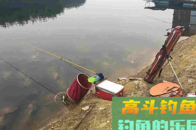 冬天别嫌鱼难钓，多数人没注意这3个细节