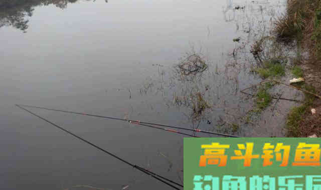 秋天过半，随着温度下降这九种鱼要钓不到了