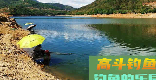 夏季关于钓深浅问题，不要过于纠结，参考这些就够了