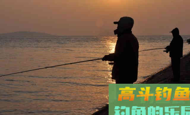 夏天，推荐晨钓，是因为有这三个优势