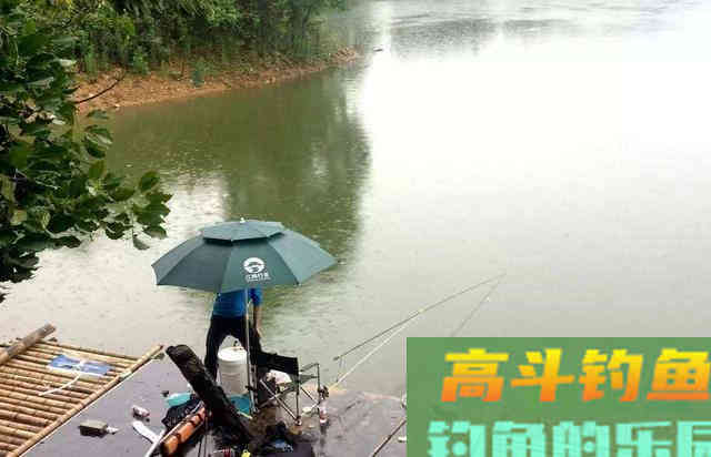 暮春钓鱼，简单且渔获好的攻略分享