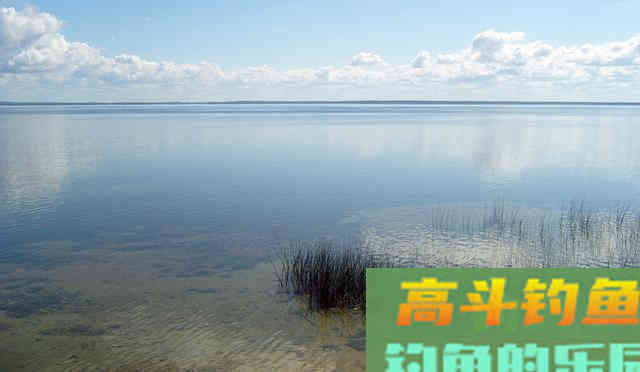 春季钓浅滩，别人连竿你不上鱼，因为钓位不是真浅滩