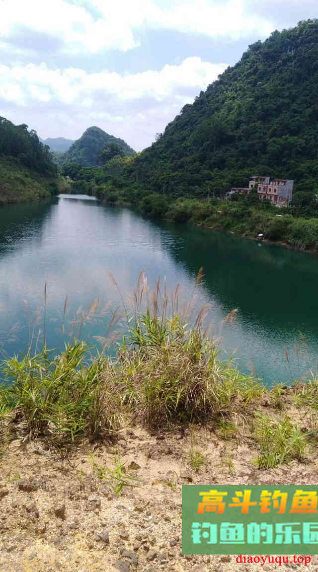 夏季钓鱼时段很重要，死守无意义