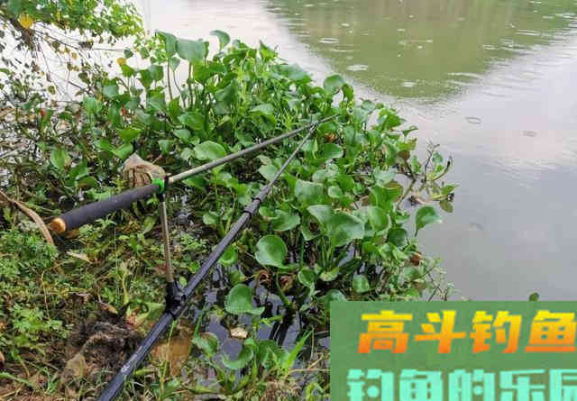 夏季野钓该用多长的鱼竿？早钓近、午钓远