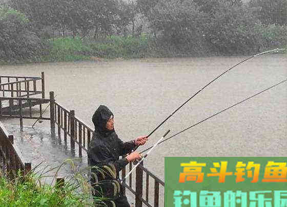 入夏多雨季，鱼口却是时好时坏，到底怎么做才能渔获