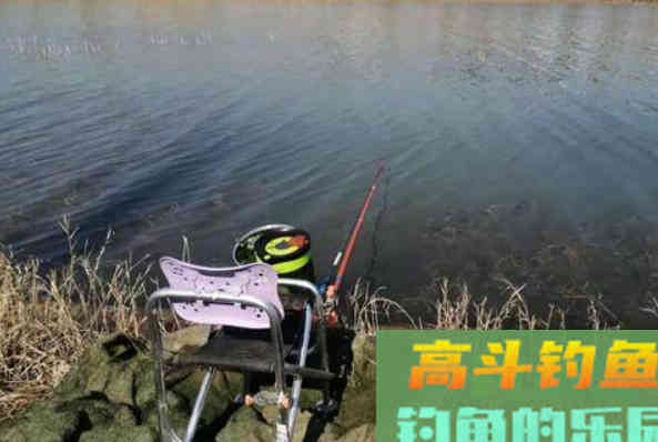 冬天鱼难钓？有人却能爆护，冬季钓鱼最优总结