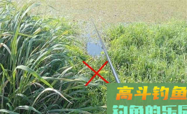夏季钓鱼困难多，5种天气别出门，2种钓位不下竿