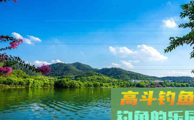 夏季钓鱼5要素，掌握这些钓鱼超级轻松