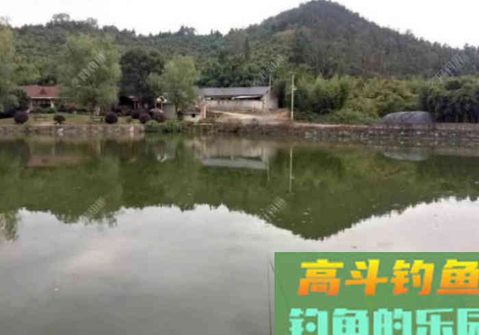 立春到惊蛰，惊蛰到清明等，这段时间钓鱼技巧