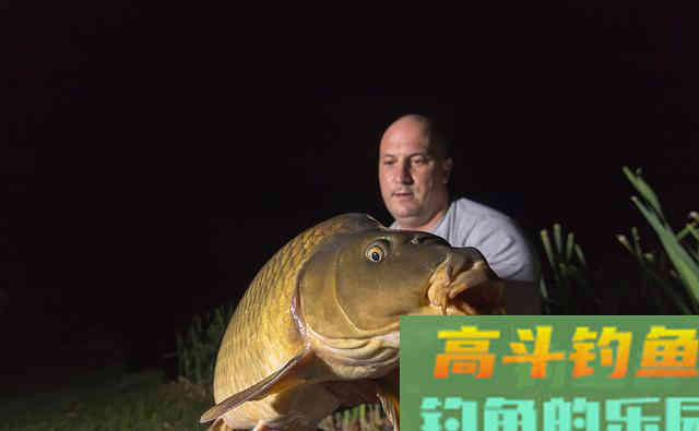 夏季夜钓鱼口虽好，不要忽视安全问题，安全是第一