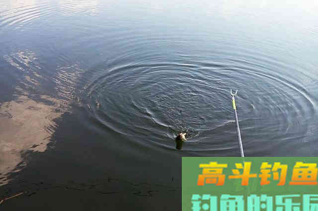 春季钓鱼别着忙，掌握这些硬核心得，钓好鱼不难