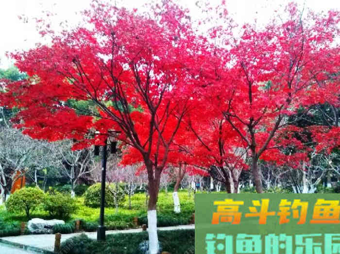 聊：冬钓的若干问题，来自高手的解答