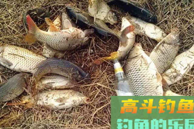 中秋前后，我只需用好这3大调整