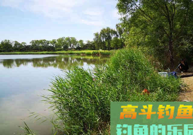 秋季降温钓鱼难？巧用水质4点变化，反让大鱼狂咬钩