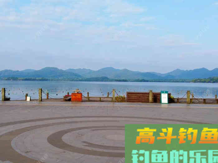 夏季钓鲫的7个概念，能让你在夏天更好的钓鱼，钓到大鱼