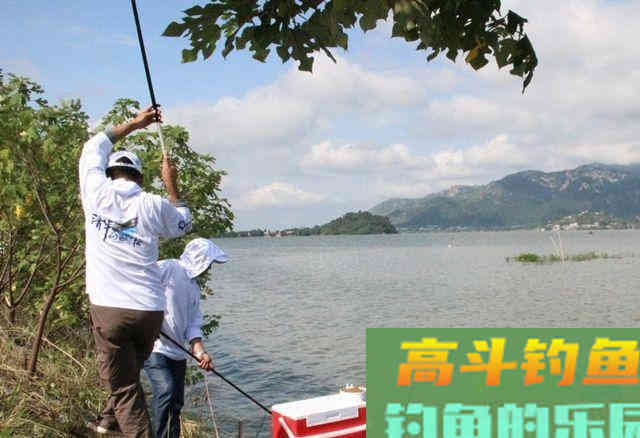 钓深水，尤其是夏钓深水，还真不是个简单的事
