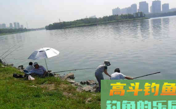 夏季野钓，灵活多变，因鱼施钓