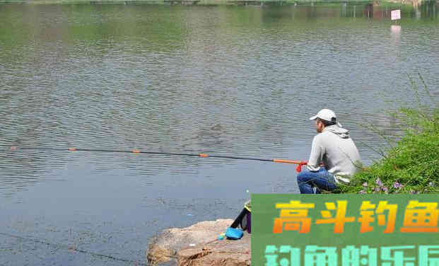 初春、仲春、暮春各不同，跟着节气来钓鱼