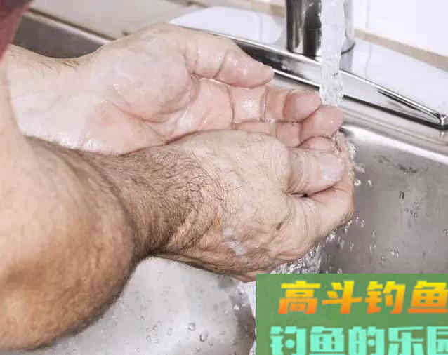 夏季夜钓，提防的不止是蛇与红火蚁