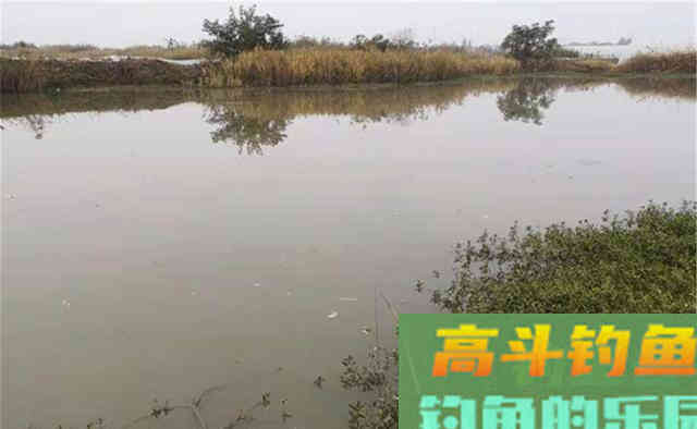 寒露之后钓鱼，路数上有4钓4不钓